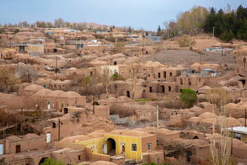 Wall Mural - Adobe houses in the old town of Rayen, Iran