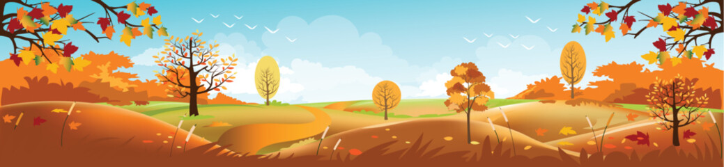 panoramic of countryside landscape in autumn, vector illustration of horizontal banner of autumn lan