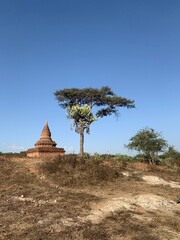 Canvas Print - Temple à Bagan, Myanmar