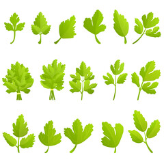 Sticker - Parsley icons set. Cartoon set of parsley vector icons for web design