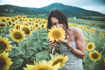 a young beautiful smiling girl poses in a sunflower field 