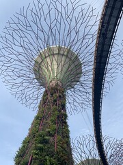 Wall Mural - Arbre artificiel, jardins de la Baie à Singapour	