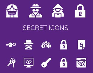 Poster - secret icon set