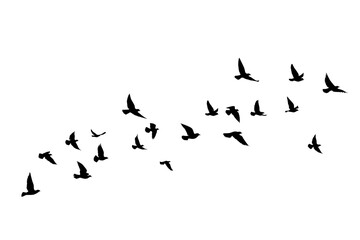 flying birds silhouettes on white background. vector illustration. isolated bird flying. tattoo desi