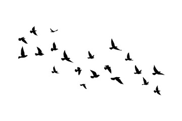 flying birds silhouettes on white background. vector illustration. isolated bird flying. tattoo desi
