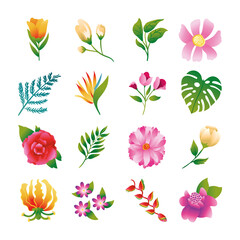 Sticker - bundle of beautiful flowers and leafs icons