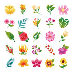 Sticker - bundle of beautiful flowers and leafs icons