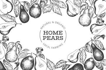 pear design template. hand drawn vector garden fruit illustration. engraved style garden fruit frame