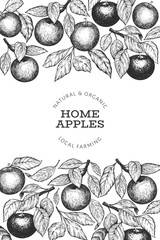 Apple branches design template. Hand drawn vector garden fruit illustration. Engraved style fruit frame. Vintage botanical banner.