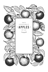 Wall Mural - Apple branches design template. Hand drawn vector garden fruit illustration. Engraved style fruit frame. Vintage botanical banner.