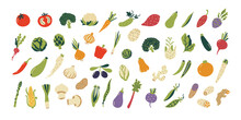 Vegetables Graphic Collection. Greens, Salads, Herbs Vector Illustration.