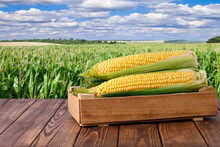 Corn Cobs In Box