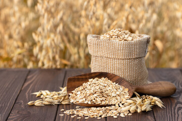 Wall Mural - oat flakes and field