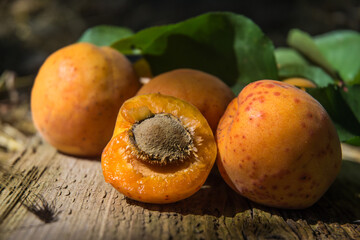 several juicy ripe apricots lying on a textured board and illuminated by the summer sun. Harvest, garden