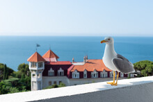 Seagull On The Balcony Against The Background Of The Sea On A Sunny Summer Day. 
