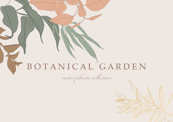 Botanical garden. Vector collection of hand drawn plant elements
