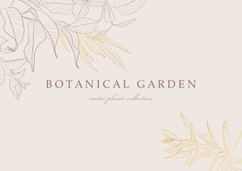 Botanical garden. Vector collection of hand drawn plant elements