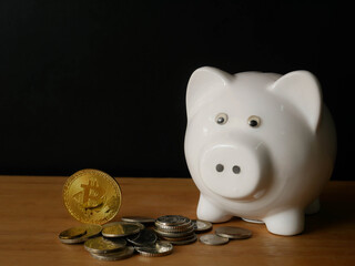 piggy bank and gold coins concept save money