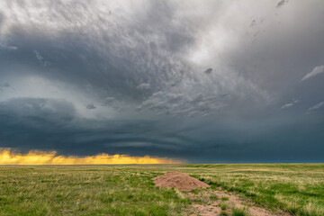 Wall Mural - Tornadic Cell over Grassy Field