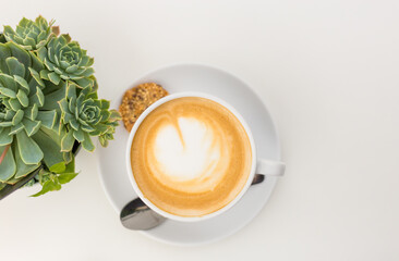 Succulent and Coffee Latte on a White Background. Coffee in a white cup with pot, flat lay, copy space.