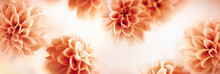 Autumn Floral Composition Made Of Fresh Dahlia On Light Pastel Background. Festive Flower Concept With Copy Space.