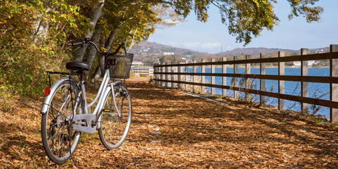 Wall Mural - Lake Yamanaka Cycling Road covered with fallen leaves in autumn　秋の紅葉サイクリング 山中湖のサイクリングロード
