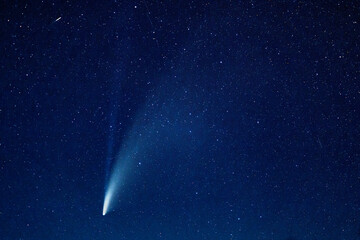 comet c/2020 f3 (neowise) in the blue starry sky. astrophotography.