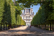 Paris, France - June 23, 2020: Alley with green trees in Tuileries garden in Paris