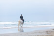 © emmapeel34 - woman on a horse on the beach