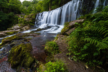 Wall Mural - Beautiful waterfall in a forest