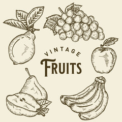 Vintage Fruit Illustration