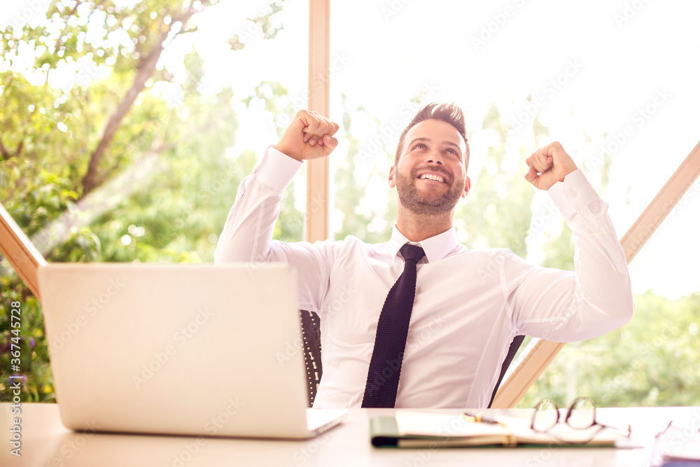 Successful businessman working on laptop at office desk - obrazy, fototapety, plakaty 