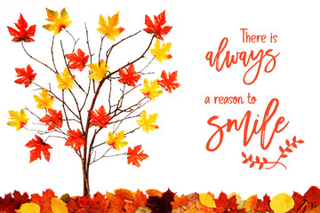 Wall Mural - branches building tree with bright colorful leaf decoration. red and yellow leaves on the ground. en