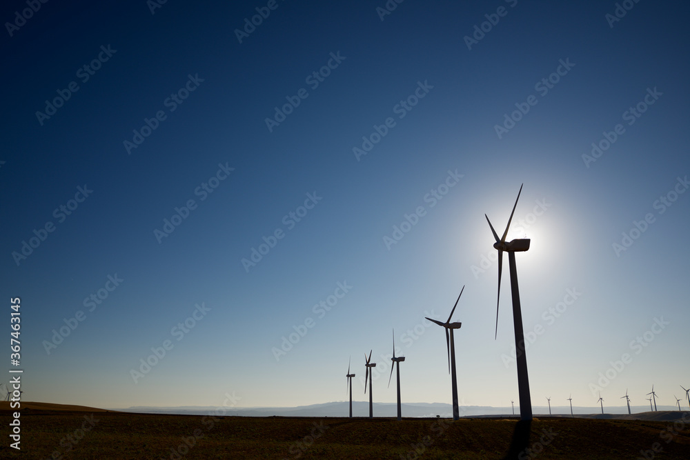 Sustainable wind energy - obrazy, fototapety, plakaty 