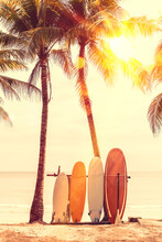 Surfboard And Palm Tree On Beach Background.