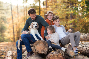 Family with small children and dog on a walk in autumn forest.