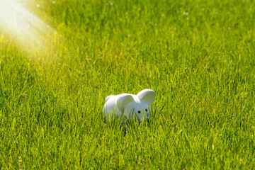 Wall Mural - White piggy bank in the green meadow