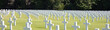 The American military cemetary in Luxembourg
