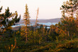 View to lake Kitka and summery taiga forest from Riisitunturi National Park during a beautiful sunset in Lapland, Northern Europe. 