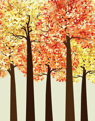 Wall Mural - Autumn multicolored forest