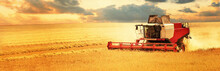 combine harvester working on golden crop field at sunset. cereal agriculture. copy space banner