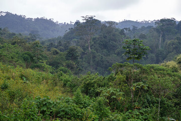 El Vergel, Lancetillo - La Parroquia, Franja Transversal del Norte , departamento de  Quiché,  Guatemala