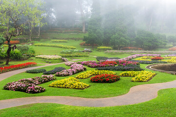 Wall Mural - Beautiful flower garden with misty at norther of Thailand