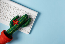 Flat Lay Of Green Blooming Cactus Toy And White Keyboard  On A Blue Background. Home Office Concept. Learning Or Working Online. . Copy Space.