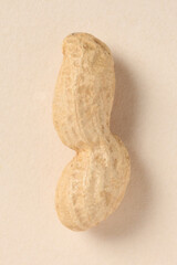 peanut isolated on beige background with copy space for your text