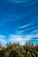 Wall Mural - Beautiful blue sky background, wide angel shot.