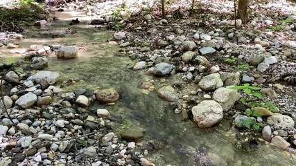 Sticker - Slow motion of moving creek in a mountain landscape