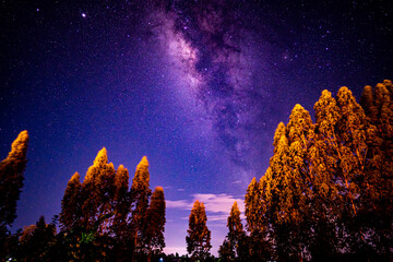Wall Mural - milky way galaxy and starfiled on night sky background