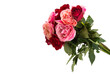 beautiful bouquet of roses isolated