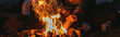 © LIGHTFIELD STUDIOS - panoramic crop of man putting log in bonfire near girl